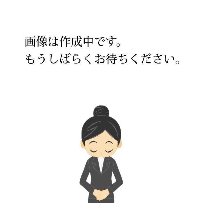 Urth ナオス 15/16” ラップトップ スリーブ (アッシュグレー)