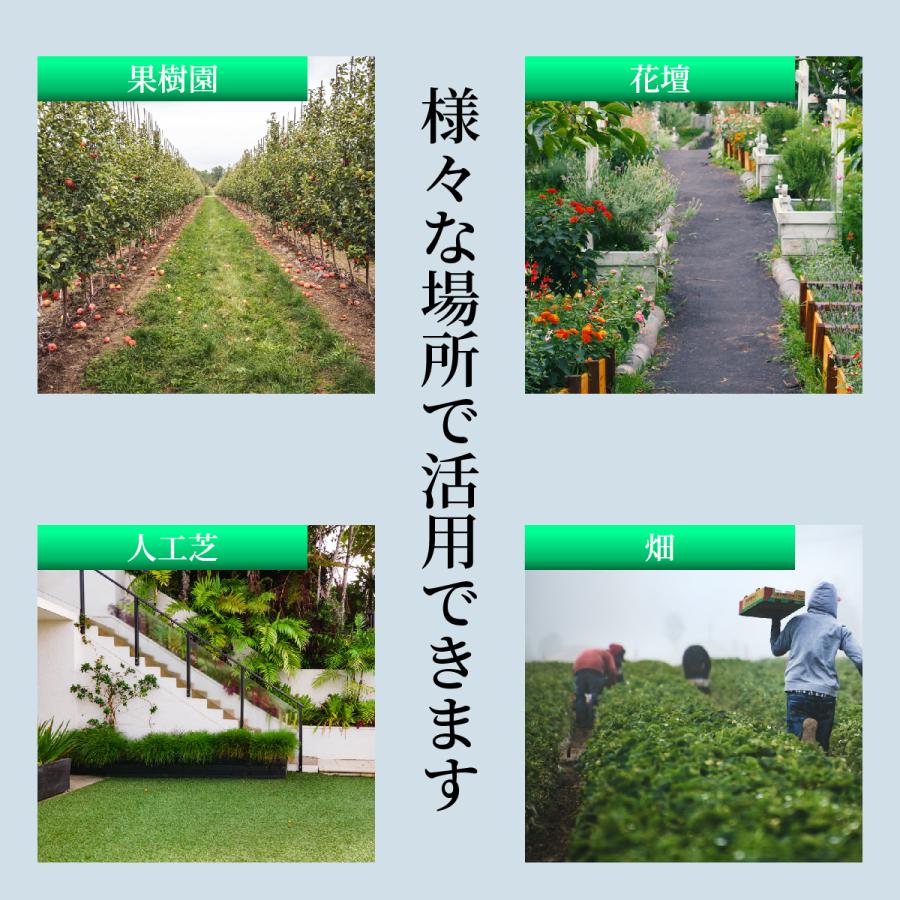 8450円 22年のクリスマス 防草シート ザバーン 240g 1ｍ 30ｍ グリーン 緑 高耐久 不織布 雑草防止 雑草対策 除草剤不要 雑草防止シート 除草 草取り