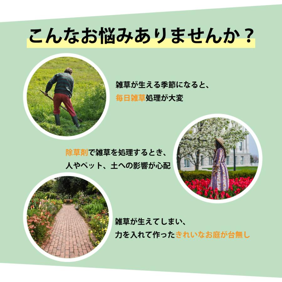 Sale 86 Off 防草シート ザバーン 240g 2ｍ 30ｍ グリーン 緑 高耐久 不織布 雑草防止 雑草対策 除草剤不要 雑草防止シート 除草 草取り Cisama Sc Gov Br