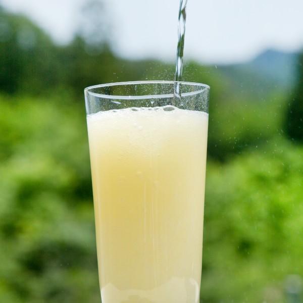 セゾンファクトリー 飲む生姜の力 265ml |  | 03