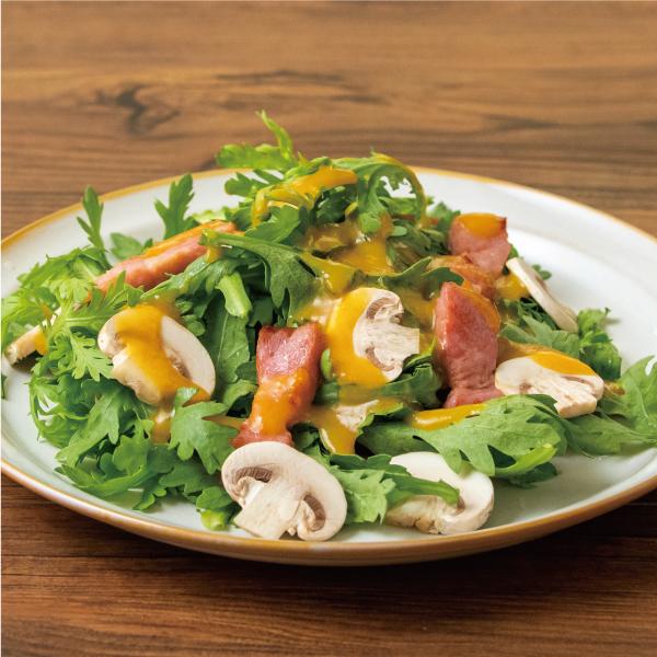 SAISON FACTORY セゾンファクトリー リッチスタイルドレッシング