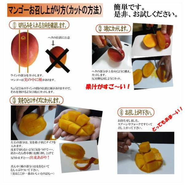 クール便【送料無料】マンゴー 5.0kg 通販 ランキング 切り方 台湾 アップルマンゴー アーウィン種 :m5000:彩食グルメ - 通販