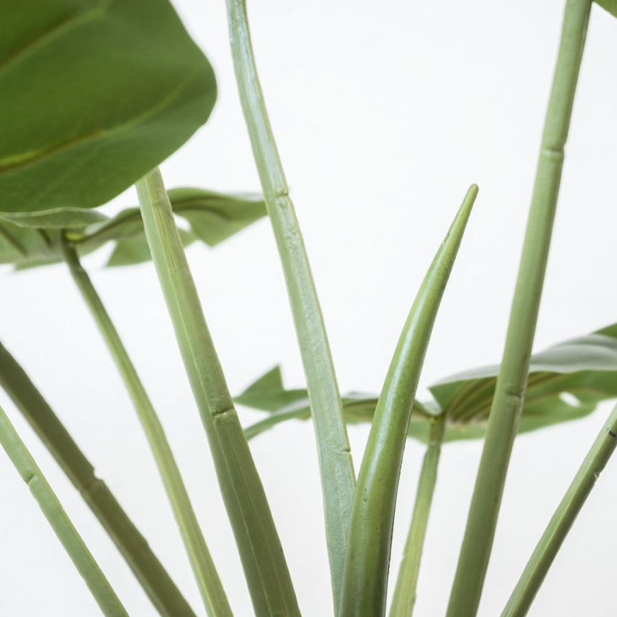 人工観葉植物 フェイクグリーン モンステラ プラ鉢ロングポット 高さ