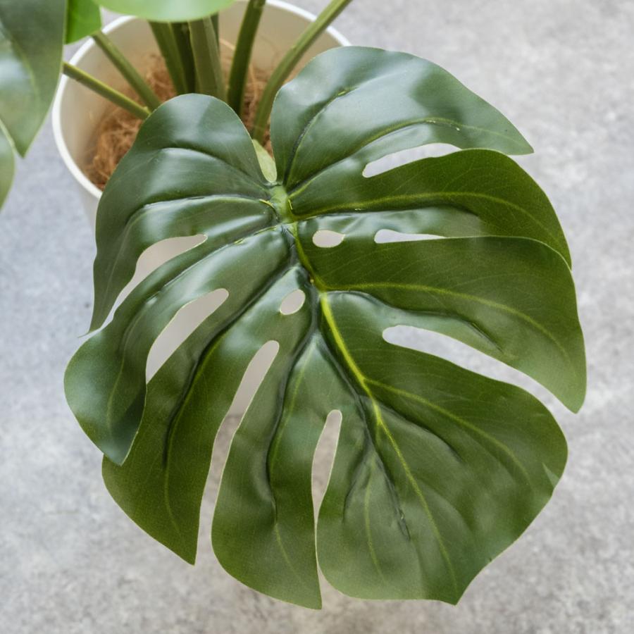 人工観葉植物 フェイクグリーン モンステラ プラ鉢ロングポット 高さ
