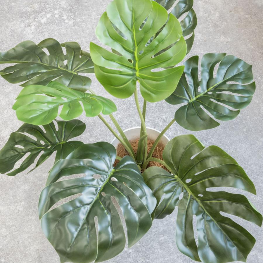人工観葉植物 フェイクグリーン モンステラ プラ鉢ロングポット 高さ