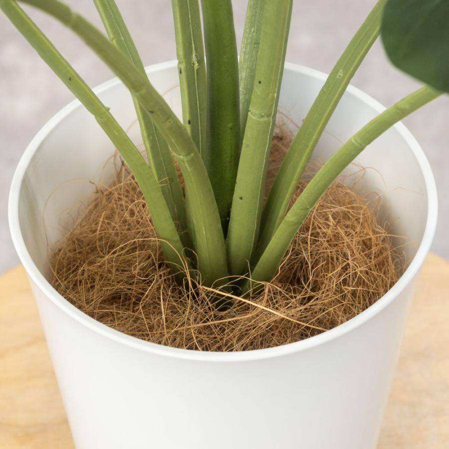 人工観葉植物 フェイクグリーン モンステラ プラ鉢ロングポット 人工観葉植物 フェイクグリーン モンステラ プラ鉢ロングポット 高さ