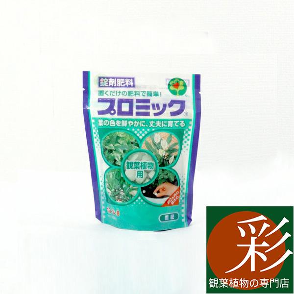 プロミック錠剤肥料 置肥 観葉植物用 観葉植物 G 観葉植物の専門店 彩植健美 通販 Yahoo ショッピング