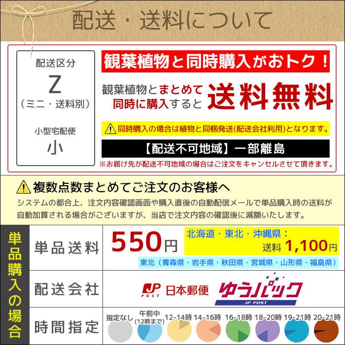 最新の激安 すべての植物に 肥料と活力剤の植物あんしんイキイキセット 観葉植物の土 最新の激安 すべての植物に 肥料と活力剤の植物あんしんイキイキセット 観葉植物の土
