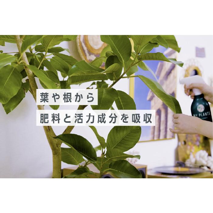 MY PLANTS すばやく元気を届けるミスト 肥料 スプレー 250ml KINCHO