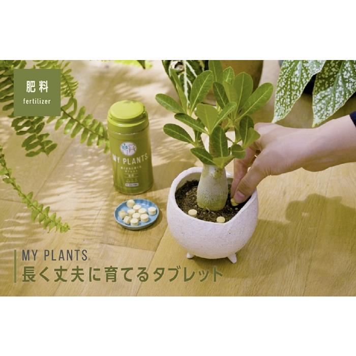 My Plants 長く丈夫に育てるタブレット 肥料 約170錠 住友化学園芸 観葉植物用 資材 G 観葉植物の専門店 彩植健美 通販 Yahoo ショッピング