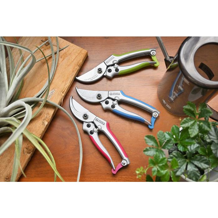 S J カラー剪定ばさみ 観葉植物用 資材 G 観葉植物の専門店 彩植健美 通販 Yahoo ショッピング