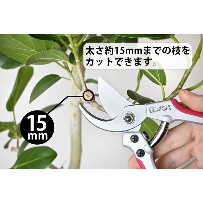 S J カラー剪定ばさみ 観葉植物用 資材 G 観葉植物の専門店 彩植健美 通販 Yahoo ショッピング