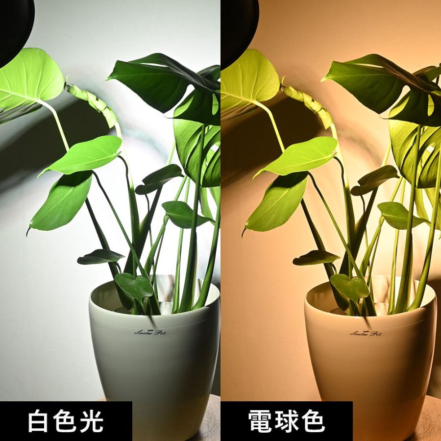 観葉植物用育成ライト PLANTS NEXLIGHT PAR30 LED電球 E26口金用 植物育成ライト 白色光 電球色 植物育成ライト 本体色ブラック/ホワイト 育成灯 室内ライト｜saisyokukenbi｜06