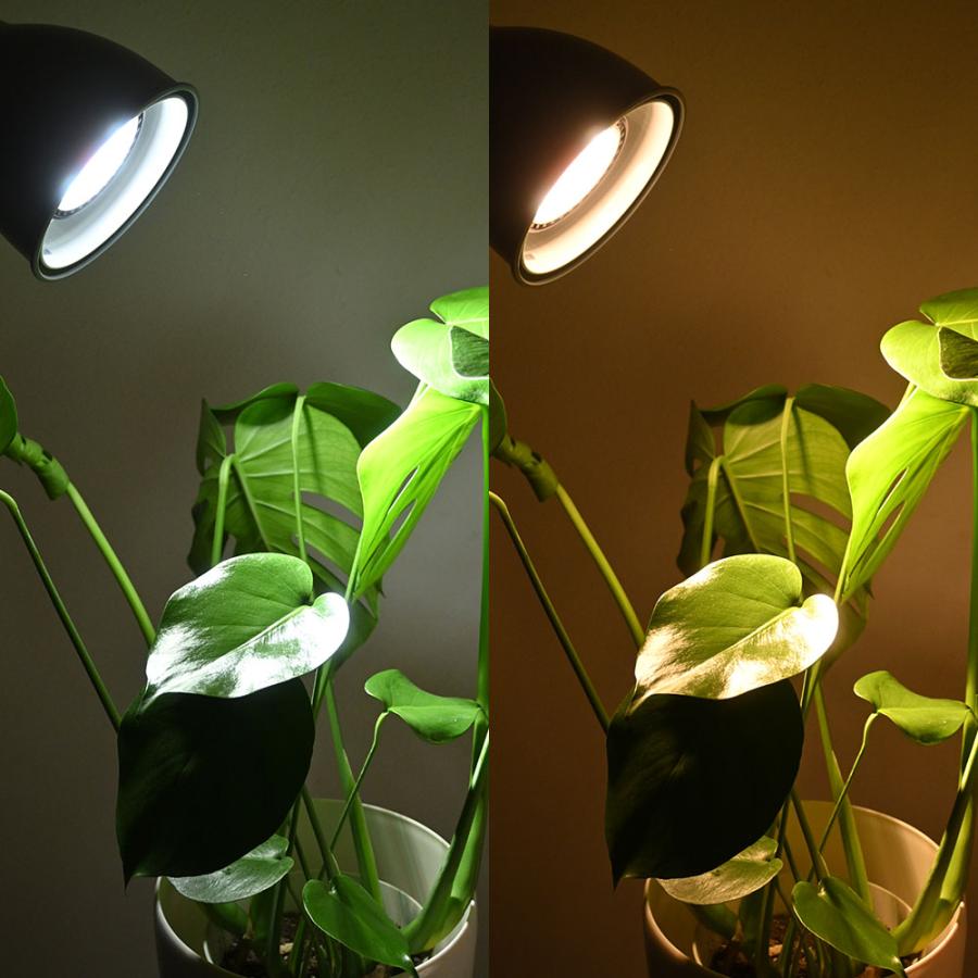 観葉植物用育成ライト PLANTS NEXLIGHT PAR30 LED電球 E26口金用 植物育成ライト 白色光 電球色 植物育成ライト 本体色ブラック/ホワイト 育成灯 室内ライト｜saisyokukenbi｜07