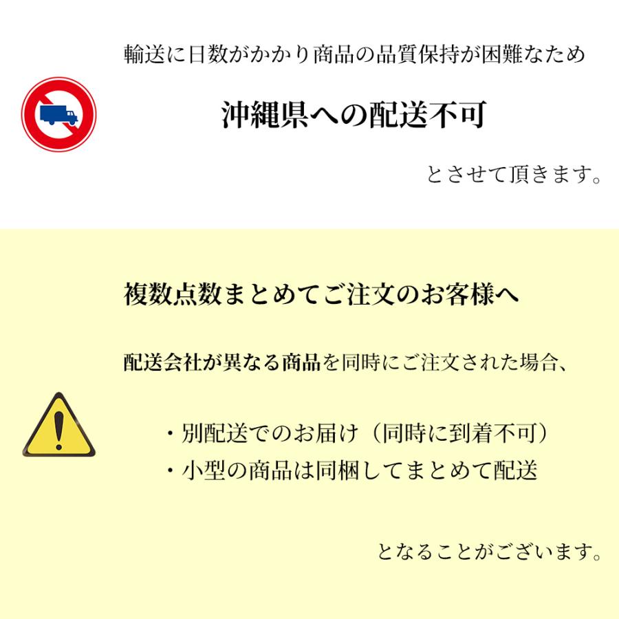 観葉植物 本物 【現品】 希少 フィカス オオバンボダイジュ 新品
