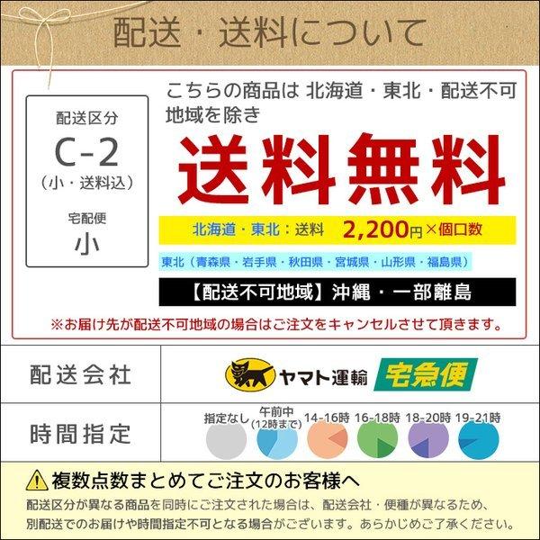 観葉植物 シルクジャスミン ゲッキツ 8号 鉢カバー付き セット 大型 室内用 インテリア おしゃれ 母の日 Km 観葉植物の専門店 彩植健美 通販 Yahoo ショッピング