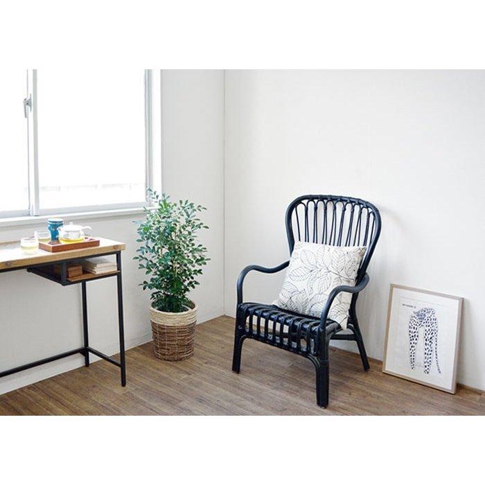 今月限定 特別大特価 観葉植物 シルクジャスミン ゲッキツ 8号 鉢カバー付き セット 大型 室内用 インテリア おしゃれ 母の日 全国宅配無料 Www Simon Page Com