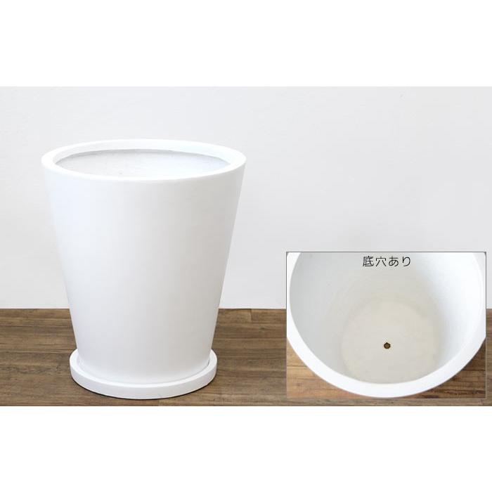 観葉植物 ポトス ヘゴ仕立て 10号鉢 陶器鉢カバー付 ファイバークレイ セット 大型 室内用 インテリア おしゃれ オウゴンカズラ 通販 人気 母の日 Km 観葉植物の専門店 彩植健美 通販 Yahoo ショッピング