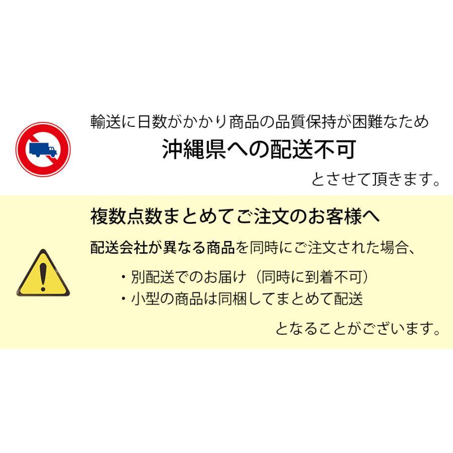 観葉植物 朴モノ フランスゴム シリンダー型 コンクリートポット インテリア おしゃれ お祝い 小さい 室内 オフィス ギフト プレゼント 母の日｜saisyokukenbi｜10