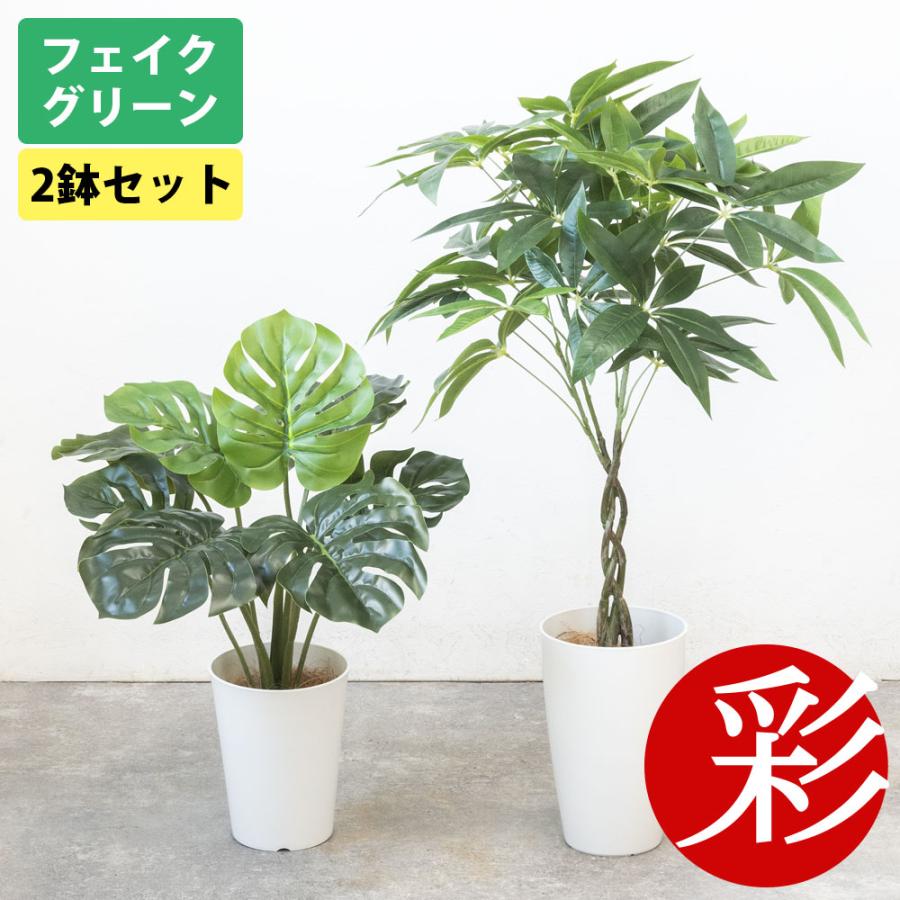 モンステラ、パキラ　セット売り 人工観葉植物 フェイクグリーン パキラ モンステラ 2鉢セット プラ鉢