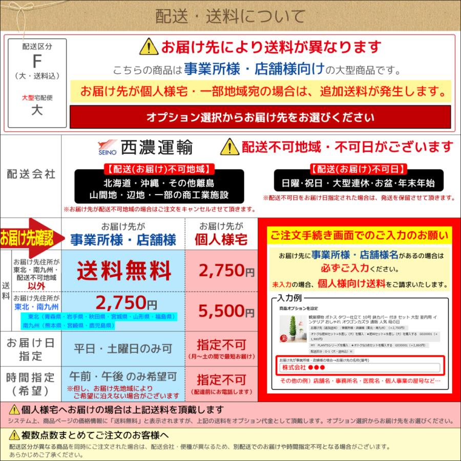 観葉植物 フィカス アルテシーマ バリエガタ 曲がり樹形 10号鉢 大型 室内用 インテリア おしゃれ 開店祝い お祝い 新築祝い 風水 室内 育てやすい Rg0003 観葉植物の専門店 彩植健美 通販 Yahoo ショッピング