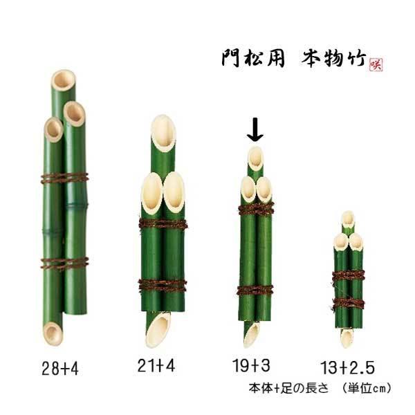 門松 竹（3本組竹 緑) 突起付 アレンジ素材 19cm+突起3cm丈 : ビーズ