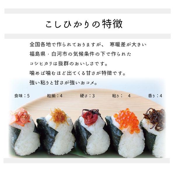米 お米 米10kg 会津コシヒカリ 白米10kg 5kgx2袋 令和4年度福島県産 期間限定 米、ごはん 米10kg コシヒカリ 送料無料 令和4年 会津産 (小分け5kgx2) 「ふくしまプライド。体感キャンペーン(お米)」