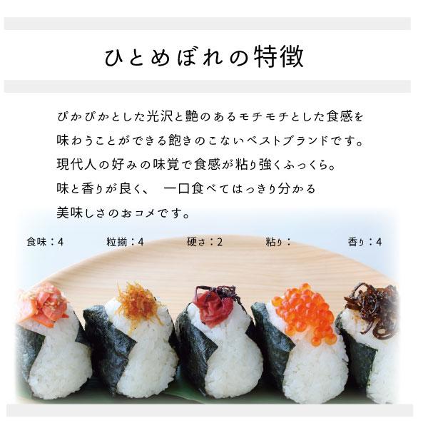 ひとめぼれ 米 お米 米10kg 白米10kg 5kg x2袋 令和6年度福島県 ひとめぼれ 米 お米 米10kg 白米10kg 5kg x2袋 令和6年度福島県