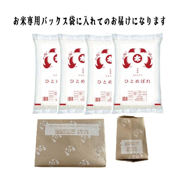 ひとめぼれ 米 お米 米20kg 白米20kg 5kgx4袋 令和7年福島県産 Rice