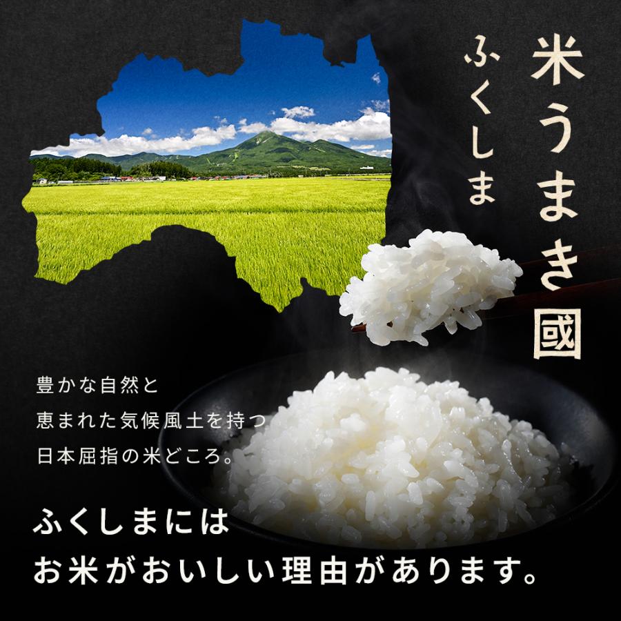 コシヒカリ 【在庫処分売り尽くし】20kg 白米 令和7年 福島県産 送料