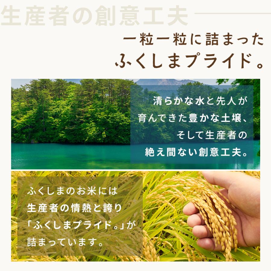 コシヒカリ 【在庫処分売り尽くし】20kg 白米 令和7年 福島県産 送料