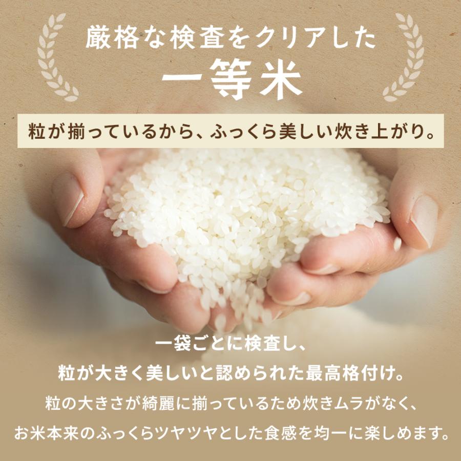 米　5kg 合計4袋　20kg 令和7年度 コシヒカリ 【在庫処分売り尽くし】20kg 白米 令和7年 福島県産 送料