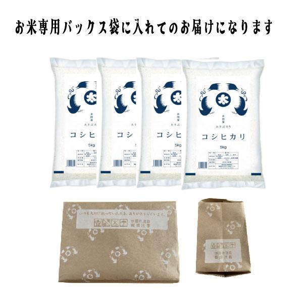 福島県産 こしひかり 100% 20kg 令和7年 新米 送料無料 コシヒカリ 米 20kg 白米 令和7年 福島県産 送料無料 5kg×4袋 単一原料