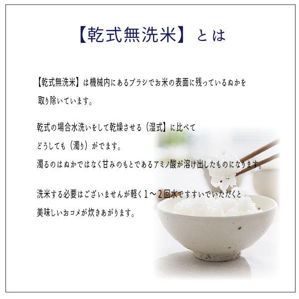 米 お米 無洗米  生活応援米 白米10kg 5kg x2袋｜saito-rice-3529｜05