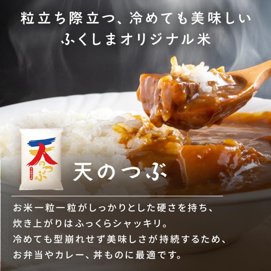 新米予約 10kg 天のつぶ 白米 令和8年 福島県産 送料無料 5kg×2袋 単一