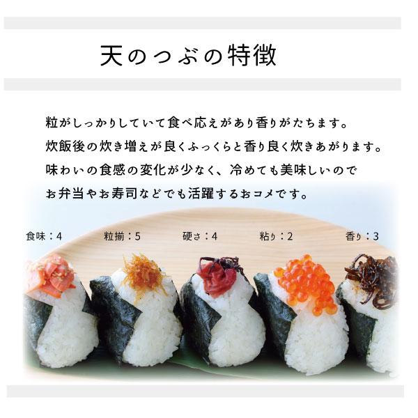 米 お米 米10kg 天のつぶ白米 10kg 5kg x2袋 令和6年福島県産 米 お米 米10kg 天のつぶ白米 10kg 5kg x2袋 令和6年福島県産