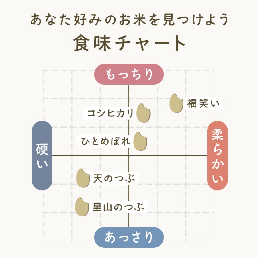 新米 10kg 天のつぶ 白米 令和8年 福島県産 送料無料 5kg×2袋 単一原料