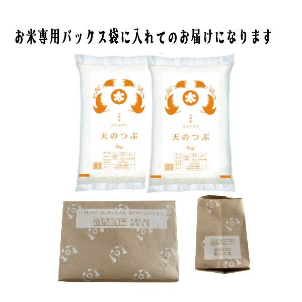 【精米】令和６年度 福島県産天のつぶ 10キロ 米 米10kg お米 10kg 天のつぶ白米 (5kg x2袋) 令和7年福島県産 Rice