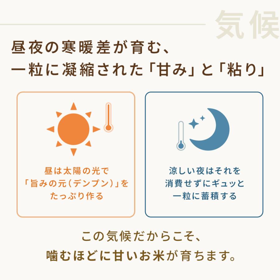 【在庫処分売り尽くし】SALE 米 10kg コシヒカリ 白米 令和7年 福島県産 送料無料 5kg×2袋 単一原料米  まとめ買い 業務用 家庭用 | コシヒカリ | 15