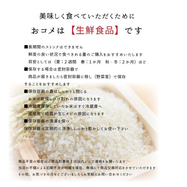 【在庫処分売り尽くし】SALE 米 10kg コシヒカリ 白米 令和7年 福島県産 送料無料 5kg×2袋 単一原料米  まとめ買い 業務用 家庭用 | コシヒカリ | 08