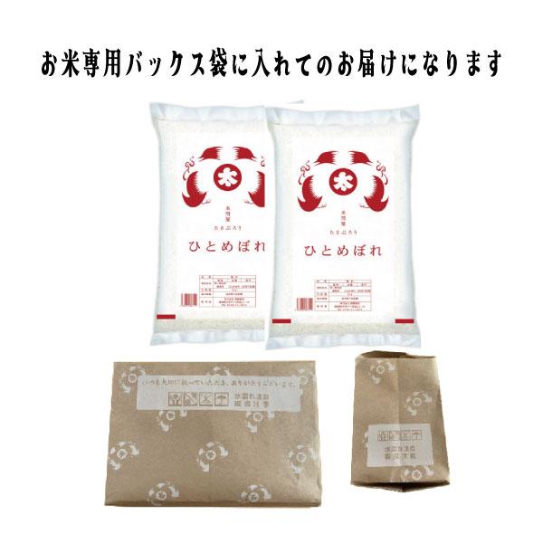 ひとめぼれ 米10kg 米 お米 10kg 白米10kg (5kg x2袋) 令和7年福島県産