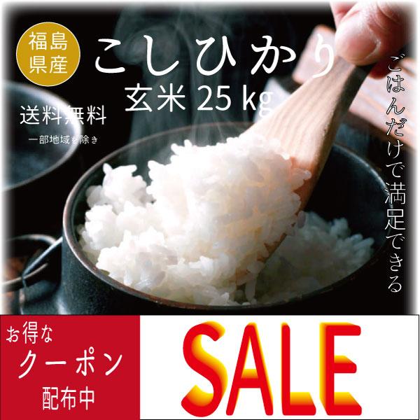 特別セール 玄米限定 令和4年 埼玉県産コシヒカリ 玄米 30kg 美味しいお米