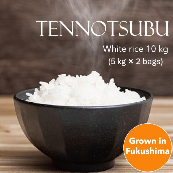 米 10kg 天のつぶ 白米 令和7年 福島県産 送料無料 5kg×2袋 単一原料米 