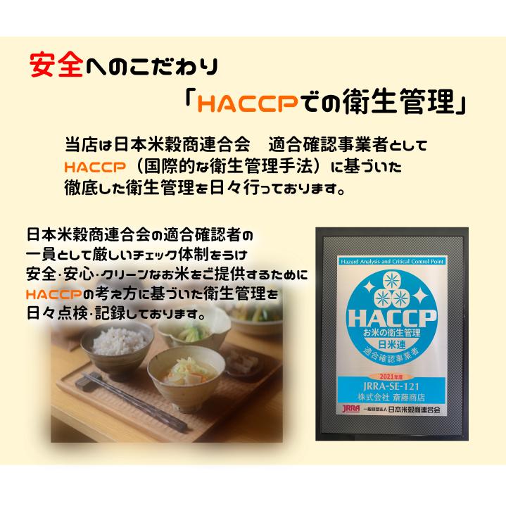米 10kg 天のつぶ 白米 令和7年 福島県産 送料無料 5kg×2袋 単一原料米 