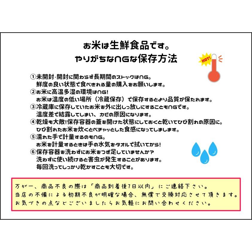 米 お米 無洗米  ひとめぼれ  白米15kg 5kg x3袋 令和5年度福島県産　｜saito-rice-3529｜07