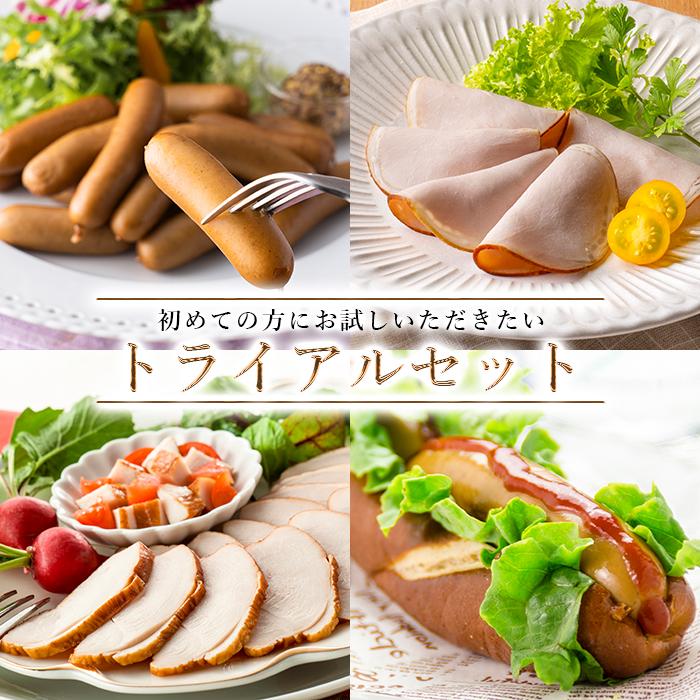 無添加  トライアルセット ( 送料無料 ) 【冷凍便】サイトウハム 初めての方 お試し 氷温熟成（Yahoo!・SAITOHAMショップ）