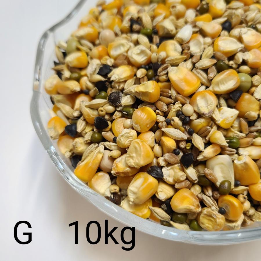 鳩の餌 特別配合 G 10kg 鳩 餌 エサ とうもろこし フード 穀類