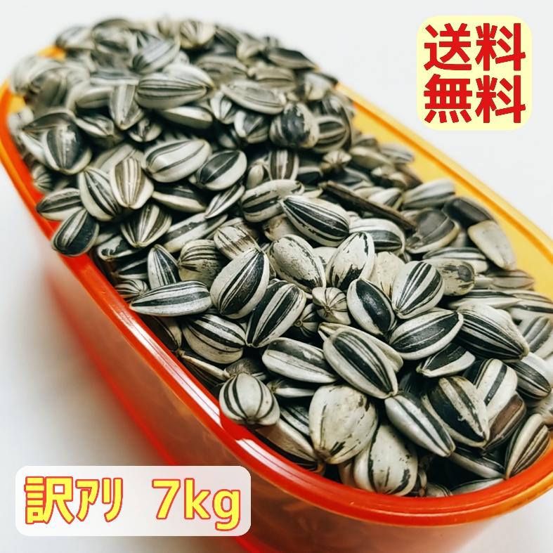 ひまわりの種 小粒 7kg [訳あり・未選別品] ヒマワリ サンフラワー