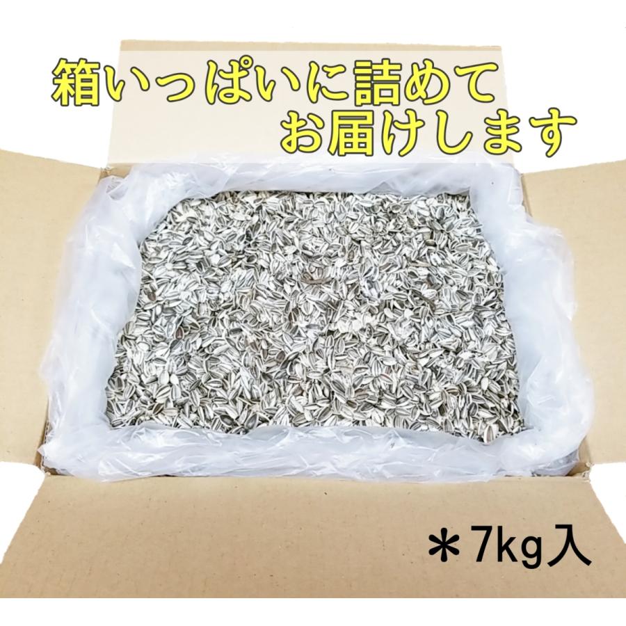 ひまわりの種 小粒 7kg [訳あり・未選別品] ヒマワリ サンフラワー