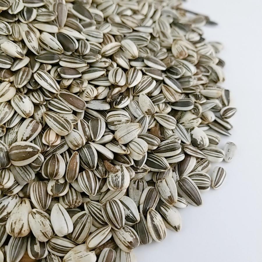 ひまわりの種・小粒 500g : サイトウーコーポレーション - 通販
